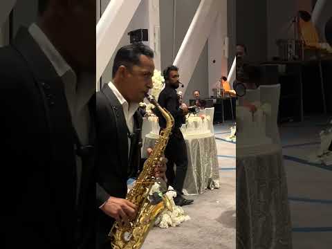 Wedding Day Highlights preview