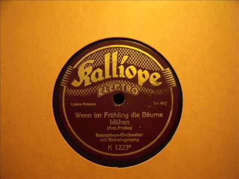 Wenn im Frühling die Bäume blühen - Robert Koppel