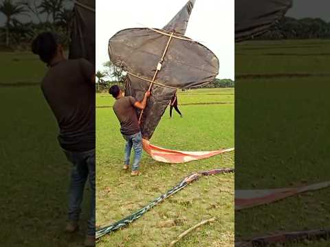 Big Corba Kite #shortvideo #kite #bigkite