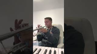 La enramada (Alejandro Fernández) Solo de trompeta que interpreta el maestro Cresencio Hernández