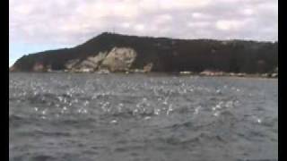 preview picture of video 'Australian Salmon off Burnie'