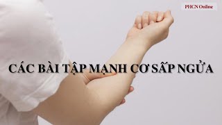 Ct41. Các bài tập làm mạnh cơ sấp và ngửa cẳng tay