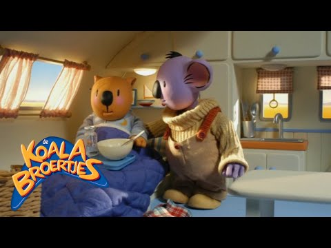 De Koala Broertjes | S01E24 | Ned is ziek | Nederlands