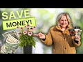 The Perennial Growing HACK That Saves You HUNDREDS Start These 10 Flowers NOW