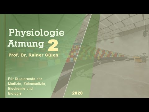 Atmung aus Sicht eines Physiologen 2