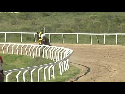 SINT FLORIDA 230420 c02 - 1° LINDA KEEP