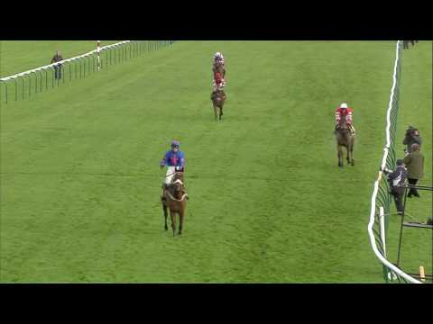 2016 Betfair Chase - Cue Card - Racing TV