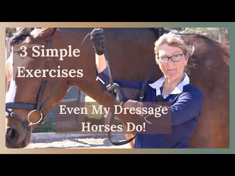 Groundwork for horses 3 simple exercises
