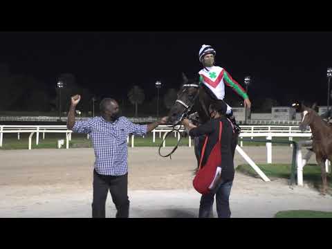 210404 c07 Municipal/ KEEP DOWN (BRZ)