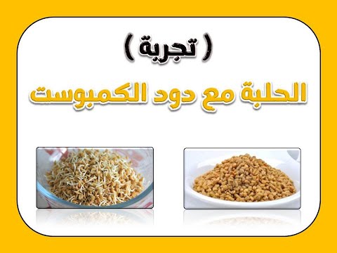 تجربة الحلبة المستنبتة مع ديدان الكمبوست * The Cultured Fenugreek With Red Wiggler Worms