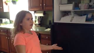 &quot;Trapped in a Hot Pockets Commercial&quot; Fan Video