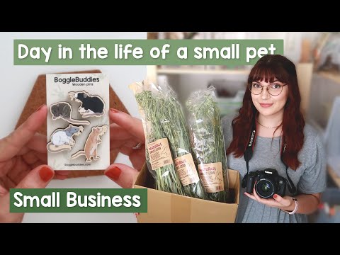 , title : 'A day in the life of a small pet small business | VLOG'