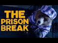 Paddington Paddington Escapes From Prison Paddington 2 Movie