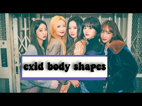 exid body shapes / body type