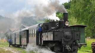 preview picture of video 'ÖBB 298.205 oder Uv.I Ybbstalbahn (Ötscherexpress) von Kienberg nach Göstling und retour'