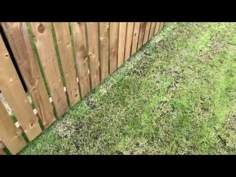 Avant Homes - Pitdinnie Grange - Water Logged Back Garden