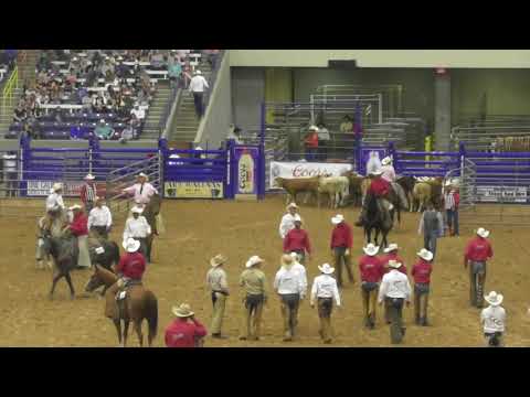 Calf Branding - 2018 Coors Cowboy Club Ranch Rodeo - Saturday