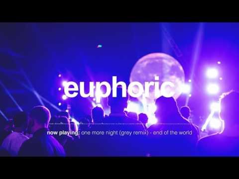 One More Night (Grey Remix) - End of the World