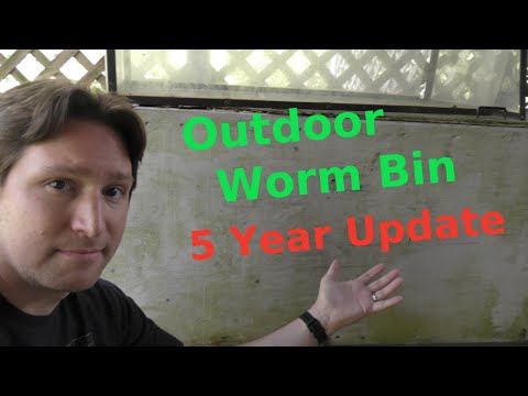 Large Bin Update 5 Years