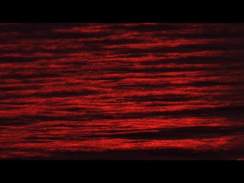 Ti moje jedino drago 