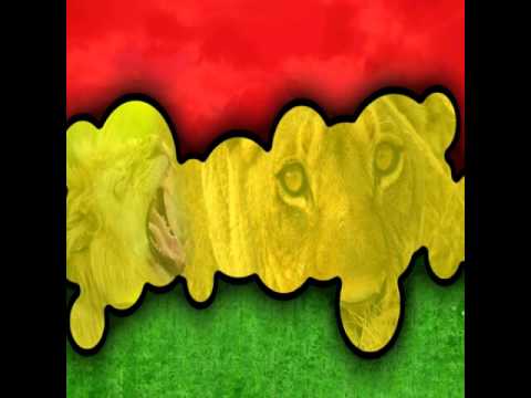 MELO DE PEIXINHO 2010.     BROUSSAI