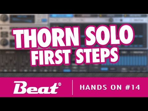 Tutorial: Dmitry Sches Thorn Solo Beat Edition Synthesizer | Hands On #14