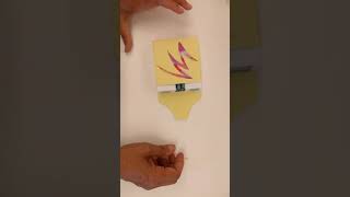 Origami slipcase