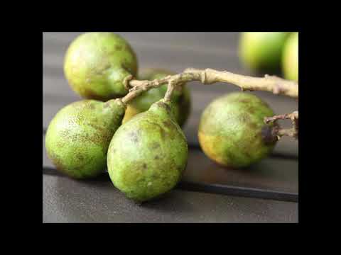 Reponde Reponn - Jean Marc Ferdinand ft Jean-Marc Hierso ( Gwo Ka Kompa )