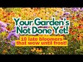 10 Fall Blooming Perennials For Gardens That Wow Until Frost