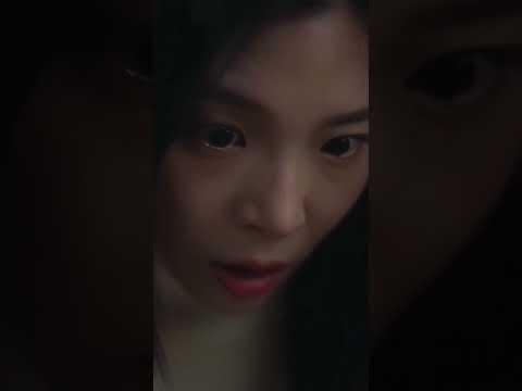 牠只是隻貓，卻驚醒整座陵墓