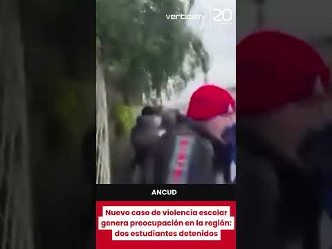 Nuevo caso de violencia escolar afecta a establecimiento en la región de Los Lagos