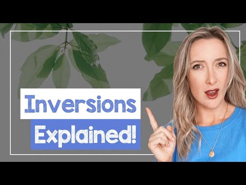 Inversions with Negative Adverbials in English - B2