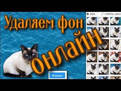 Как удалить задний фон онлайн