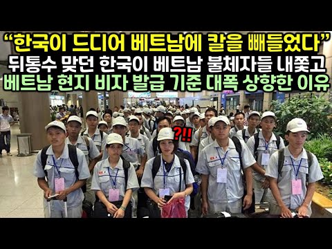 [유튜브] 베트남 현지 비자 발급 기준 대폭 상향한 이유