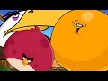 WHO IS THE BIGGEST BIRD ️REALLY WHO ️ Meme