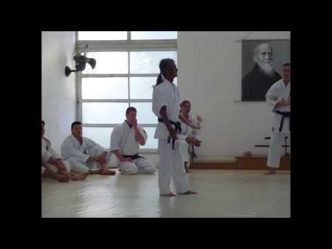 Shinyu Gushi sensei 10th dan