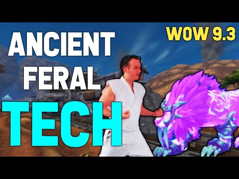 FERAL S4 BIS TALENTS, LEGENDARY, SHROUDED AFFIX STATS - FERAL Has a Chance!