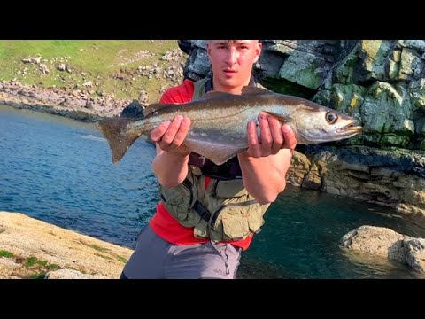 Lure fishing for Cod and Pollock off the rocks