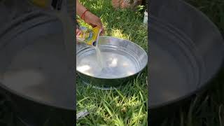 sesion de fotos para bebe 6 meses. ideas fáciles.