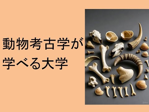 心理学科 動物考古学が学べる大学