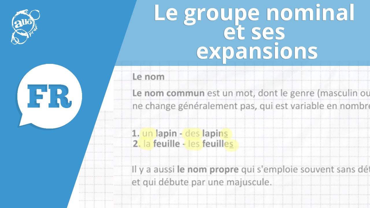 Comment Reconnaitre Un Groupe Nominal Dans Une Phrase Le groupe nominal (GN) | Alloprof