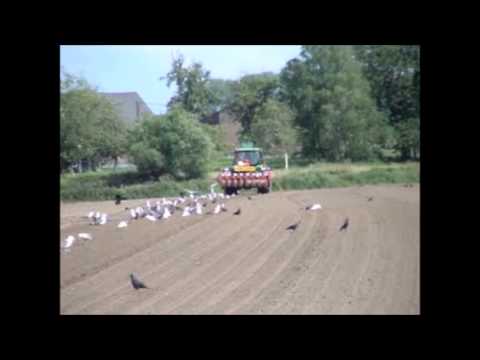 LVDM. Vandemaele (1).