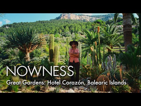 At Hotel Corazón, Mallorca, cacti and diverse farmland feed Kate Bellm & Edgar Lopez’ artistic haven