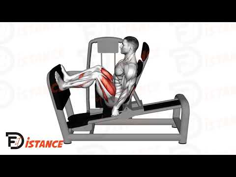 Exercice Presse à cuisse horizontale pieds serrés