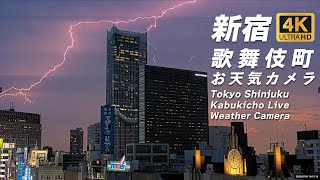 歌舞伎町のスカイライン