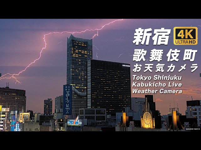 歌舞伎町のスカイライン（東急歌舞伎町タワー・ホテルグレイスリー新宿）