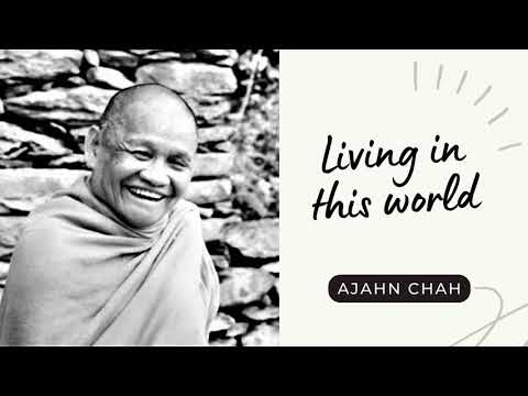 Ajahn Chah I Living in this World I Collected Teachings I 15/58
