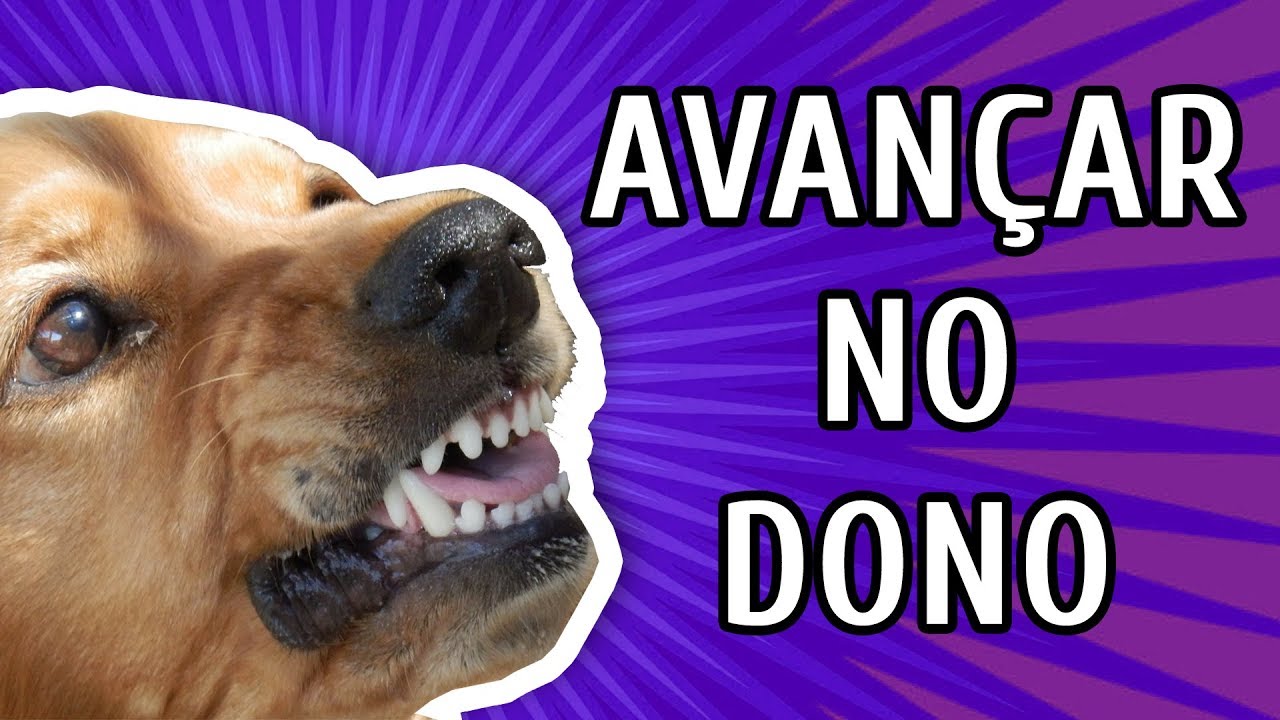 AVANÇAR NO PRÓPRIO DONO - PORQUE ACONTECE E COMO EVITAR com Bruno Leite