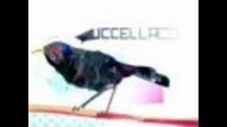 UCCELLACCI - SENTI SENTI