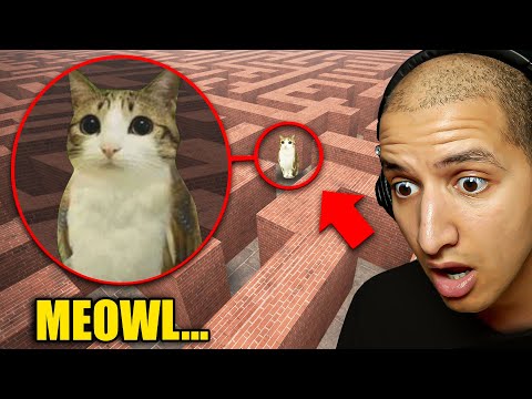 Stuck in MEOWL MAZE...